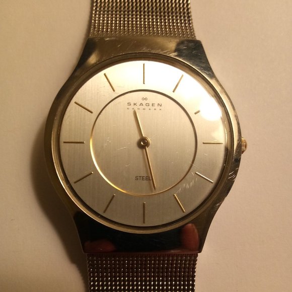 Swatch Accessories - Skagen Denmark 233 LGSC  Used